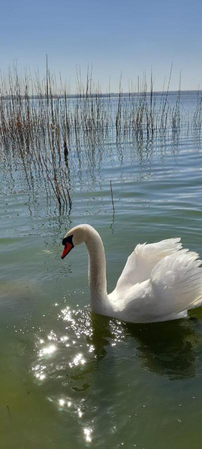 Apus De Soare Apartment Mamaja Zewnętrze zdjęcie